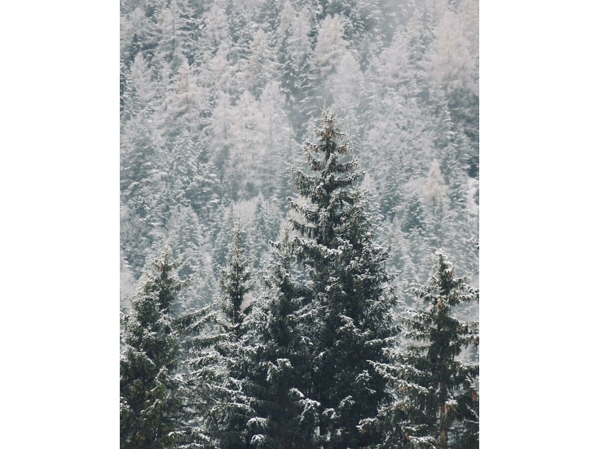 Apartment Appartement - Outdoor photo 2