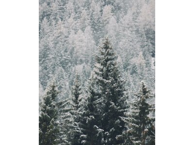 Apartment Appartement - Outdoor photo 2