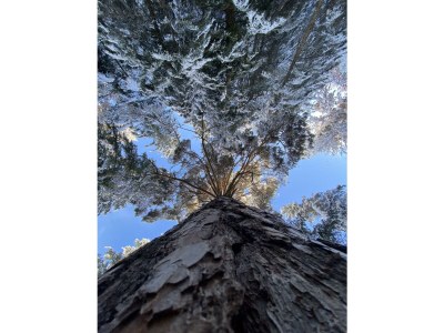 Apartment Appartement - Outdoor photo 18