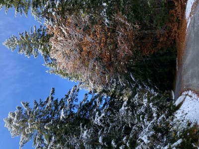 Apartment Appartement - Outdoor photo 19