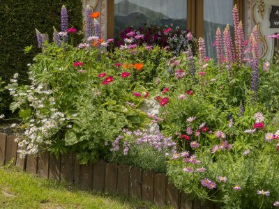 Apartment Apartment A - Outdoor photo 11