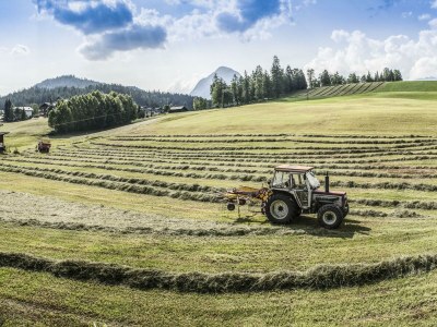 Apartment Apartment A - Outdoor photo 12