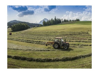 Apartment Apartment A - Features photo 26