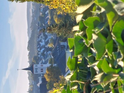 Apartment Ferienwohnung Am Mühlbach - Outdoor photo 4
