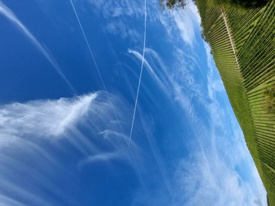 Apartment Ferienwohnung Am Mühlbach - Outdoor photo 6