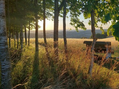Apartment Ferienwohnung Am Mühlbach - Outdoor photo 9