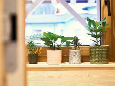 Apartment grün... Waldsicht - Outdoor photo 57