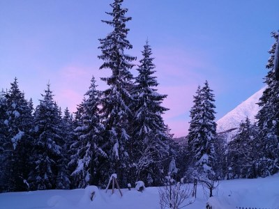 Apartment grün... Waldsicht - Features photo 87