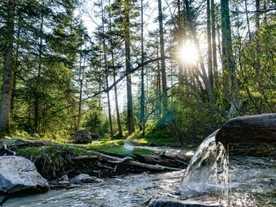 Apartment Appartement 1 - Outdoor photo 11