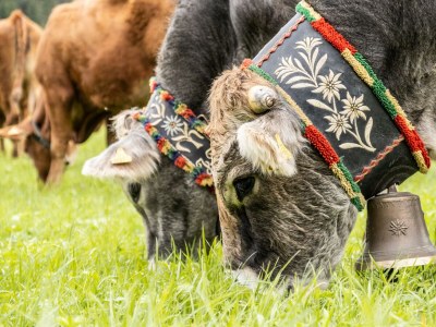 Apartment Appartement "Gehrenspitze" - Outdoor photo 10