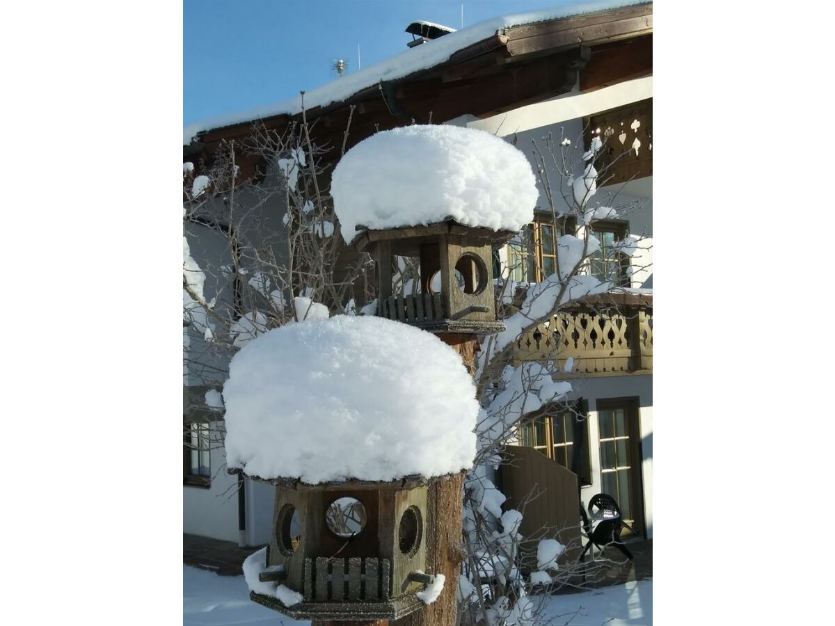 Apartment ALPENROSE   -  1 Schlafzimmer - Outdoor photo 3