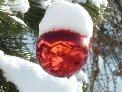 Apartment ALPENROSE   -  1 Schlafzimmer - Outdoor photo 25