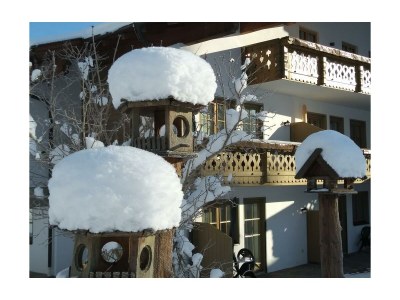 Apartment ALPENROSE   -  1 Schlafzimmer - Outdoor photo 33