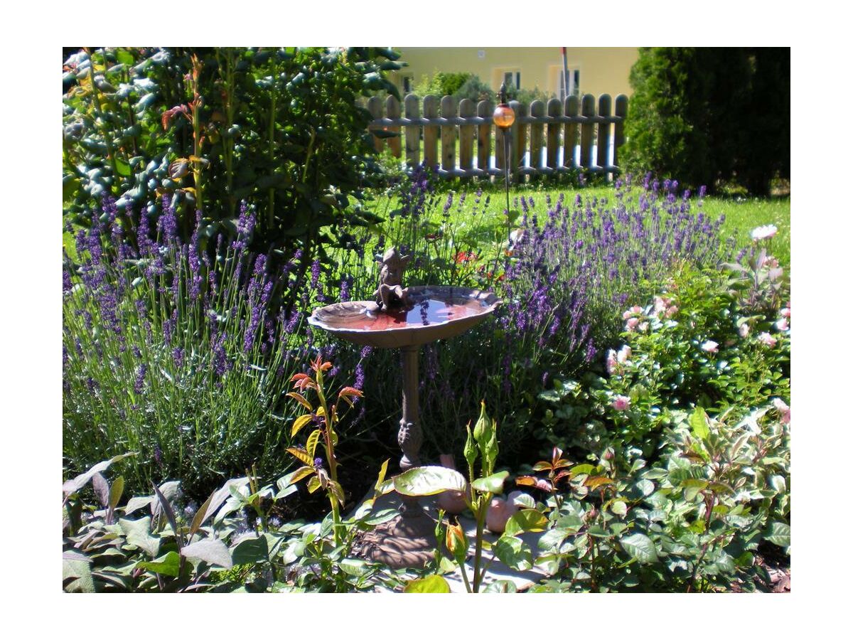 Apartment Ferienwohnung "Alpenrose" - Outdoor photo 4