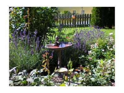 Apartment Ferienwohnung "Alpenrose" - Outdoor photo 4