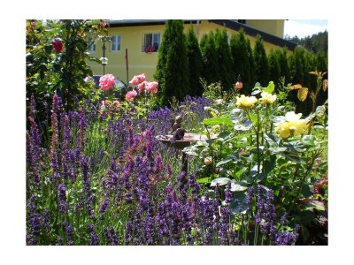 Apartment Ferienwohnung "Alpenrose" - Outdoor photo 6