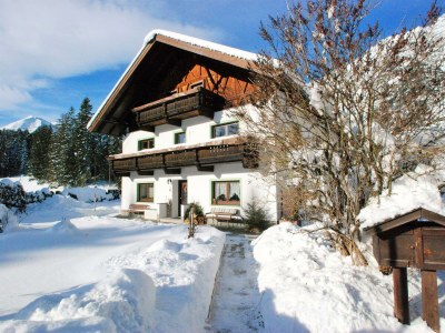 Apartment Ferienwohnung "Alpenrose" - Outdoor photo 10