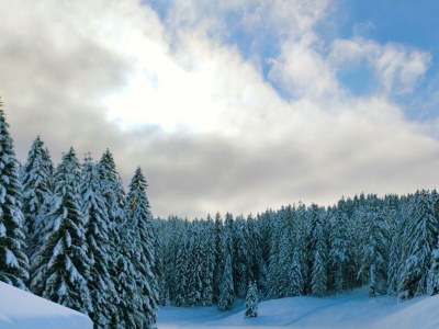 Apartment Ferienwohnung "Alpenrose" - Outdoor photo 25