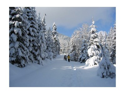 Apartment STEINRÖSL - 1 Schlafzimmer - Outdoor photo 24