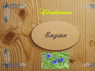 Apartment BRUNELLE -  1 Schlafzimmer - Features photo 63