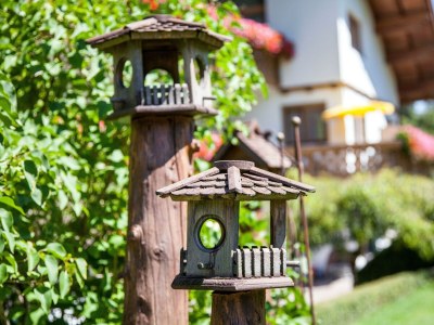 Apartment ENZIAN - Wohn-/Schlafraum - Outdoor photo 8