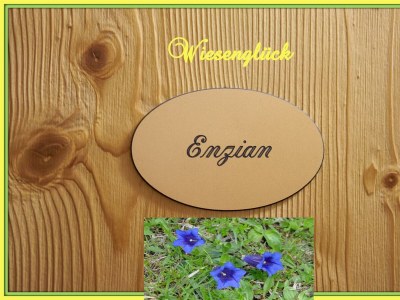 Apartment ENZIAN - Wohn-/Schlafraum - Features photo 54