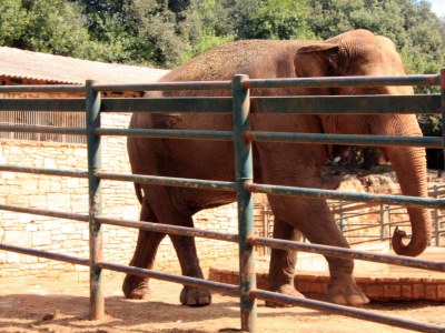 Holiday apartment Beethoven - Environment photo 18