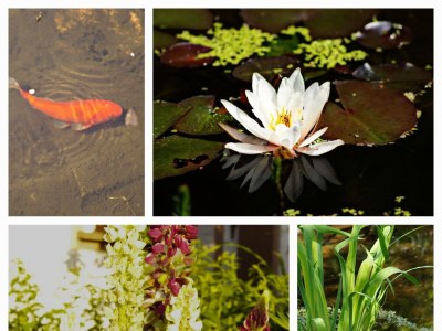 Apartment 2-Bett-Ferienwohnung Dusche/WC, 1 Schlafraum - Outdoor photo 12