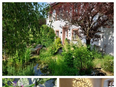 Apartment 2-Bett-Ferienwohnung Dusche/WC, 1 Schlafraum - Outdoor photo 23