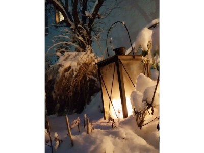 Apartment 2-Bett-Ferienwohnung Dusche/WC, 1 Schlafraum - Outdoor photo 24