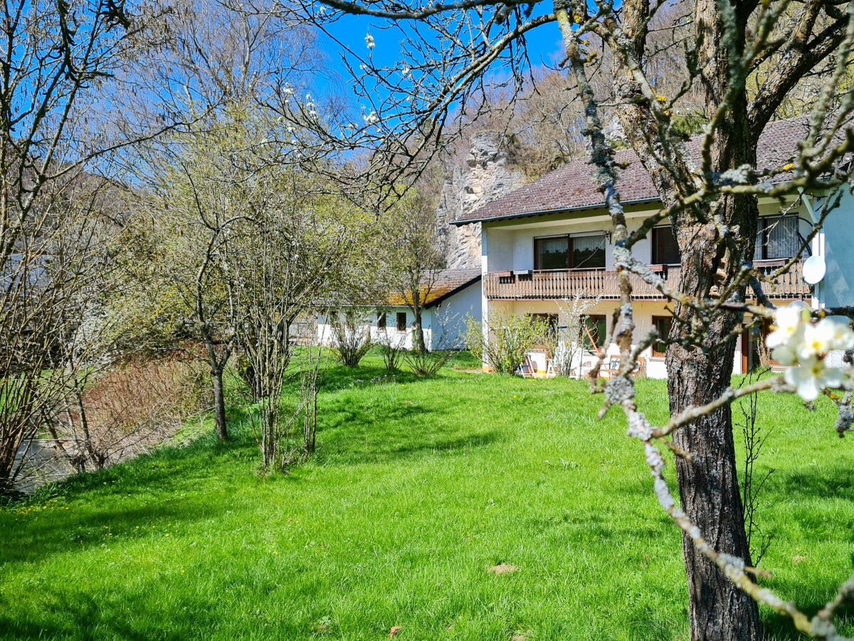 Apartment 5-Bett-Ferienwohnung Ahbach - Outdoor photo 5