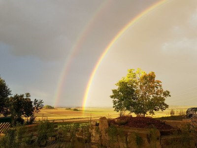 Apartment 2-Bett-Ferienwohnung Druidenstein Tiny - Outdoor photo 38