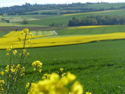 Apartment 2-Bett-Ferienwohnung Druidenstein Tiny - Outdoor photo 51