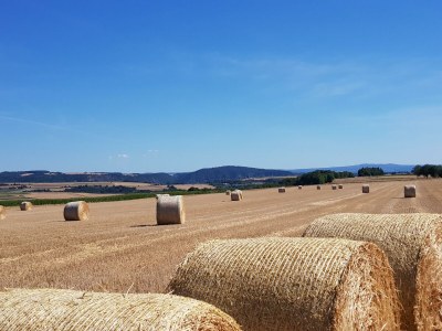 Apartment 2-Bett-Ferienwohnung Druidenstein Tiny - Outdoor photo 52