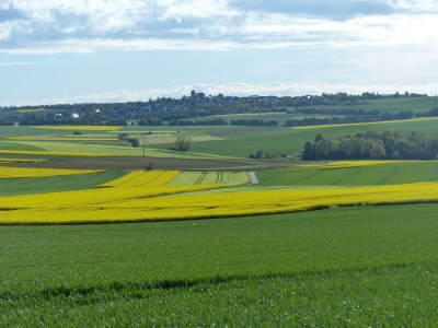 Apartment 2-Bett-Ferienwohnung Druidenstein Tiny - Outdoor photo 54