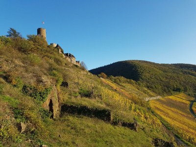 Apartment 2-Bett-Ferienwohnung Druidenstein Tiny - Outdoor photo 58