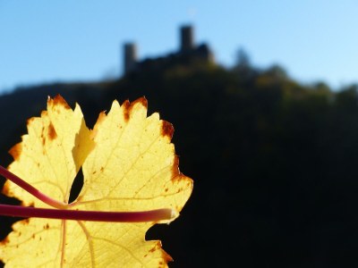 Apartment 2-Bett-Ferienwohnung Druidenstein Tiny - Outdoor photo 63