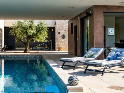 Villa Villa Felice Novigrad - Outdoor photo 2