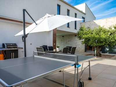 Villa Villa Felice Novigrad - Outdoor photo 8