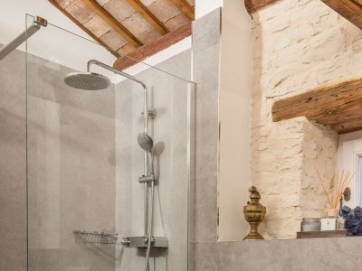 Villa Villa Folirantica - Traditional Villa Folirantica near Svetvinčenat - Features photo 13