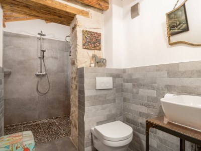 Villa Villa Folirantica - Traditional Villa Folirantica near Svetvinčenat - Features photo 21