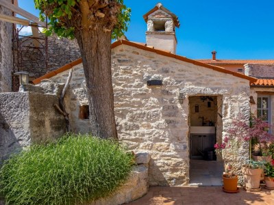Villa Villa Folirantica - Traditional Villa Folirantica near Svetvinčenat - Environment photo 28