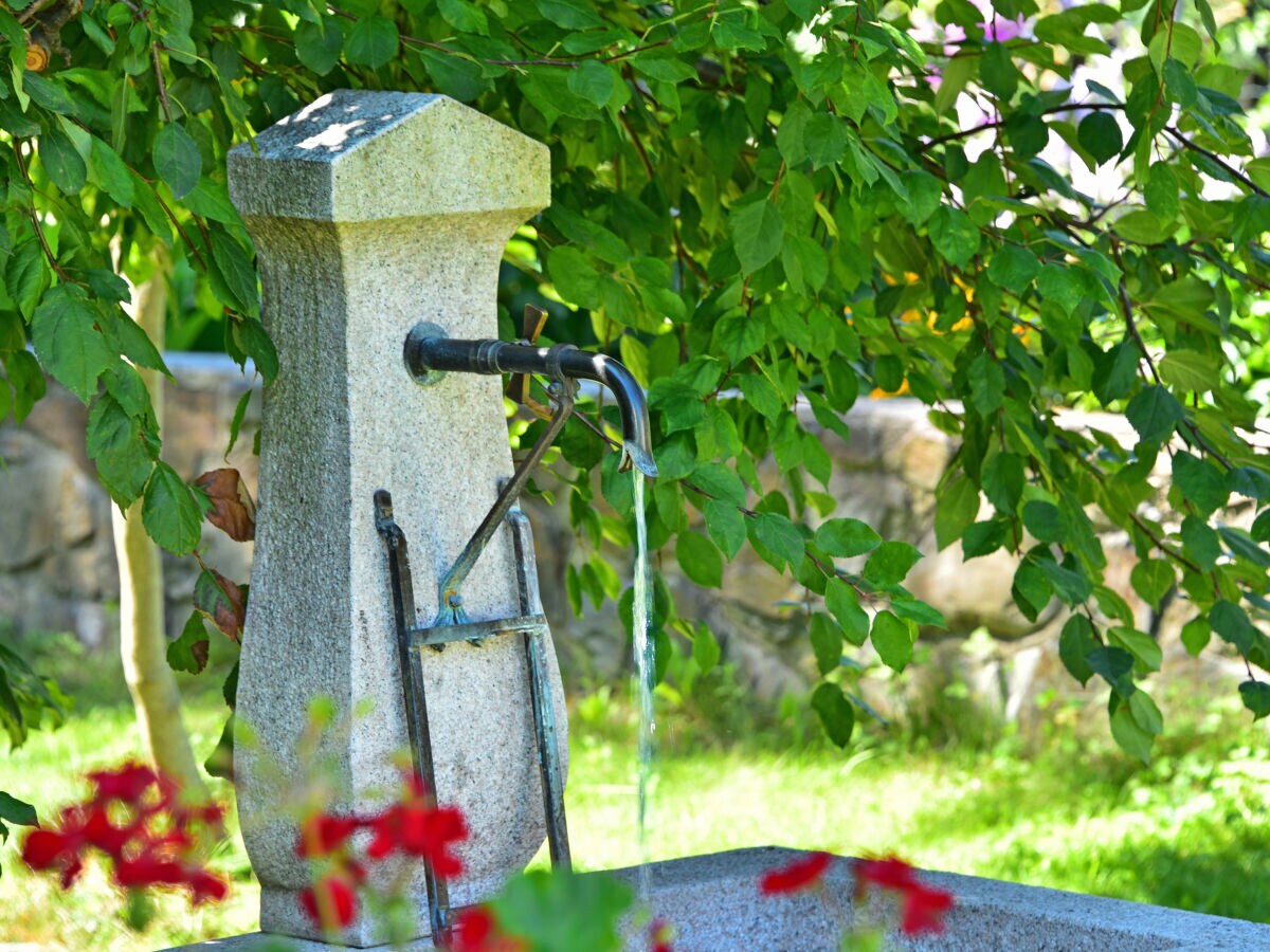 Holiday apartment Teichblick - Outdoor photo 5