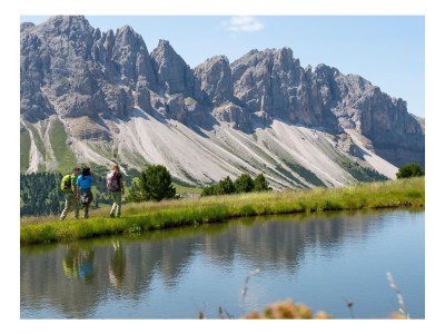 Holiday apartment Teichblick - Environment photo 11