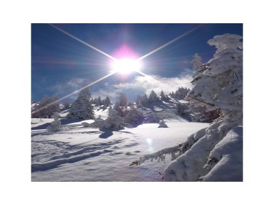 Chalet Alpin Jewel T6 - Environment photo 15