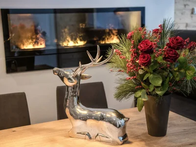 Chalet Alpin Jewel T7 - Features photo 9