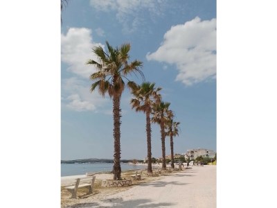 Holiday apartment Holiday Apartment Near the Beach - Environment photo 25