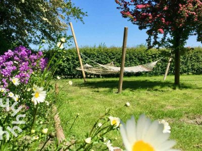 Holiday apartment Grijpskerke ZE1125 - Environment photo 19