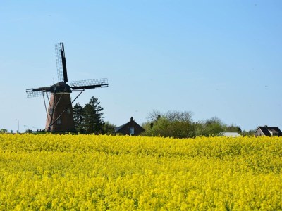 Bungalow Park Welgelegen MB 56 - Environment photo 17