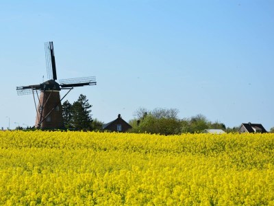 Bungalow Park Welgelegen MB 61 - Environment photo 16